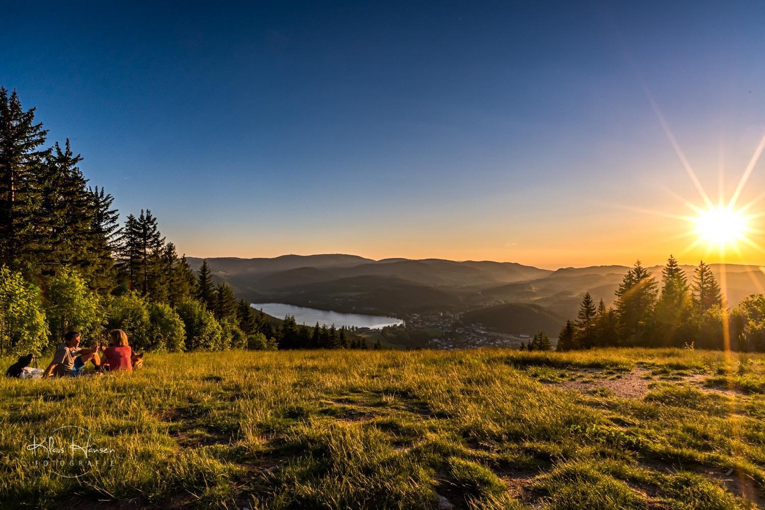 Apartment 13 - Ferienresidenz Roseneck, Mit Schwimmbad In Todtnauberg Bei Feldberg Екстериор снимка