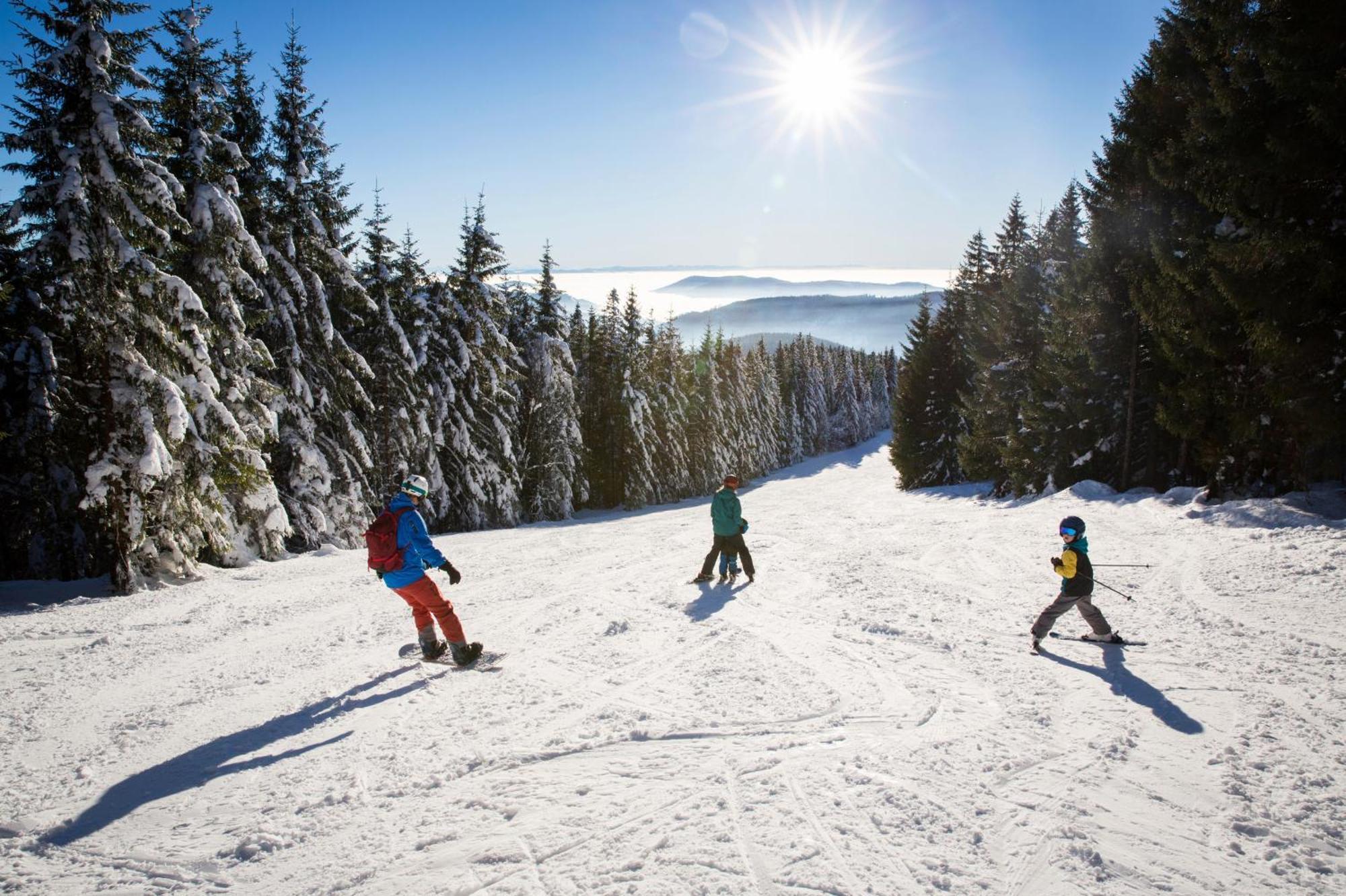 Apartment 13 - Ferienresidenz Roseneck, Mit Schwimmbad In Todtnauberg Bei Feldberg Екстериор снимка