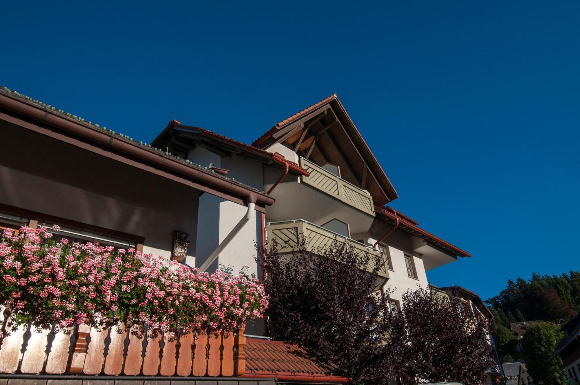 Apartment 13 - Ferienresidenz Roseneck, Mit Schwimmbad In Todtnauberg Bei Feldberg Екстериор снимка