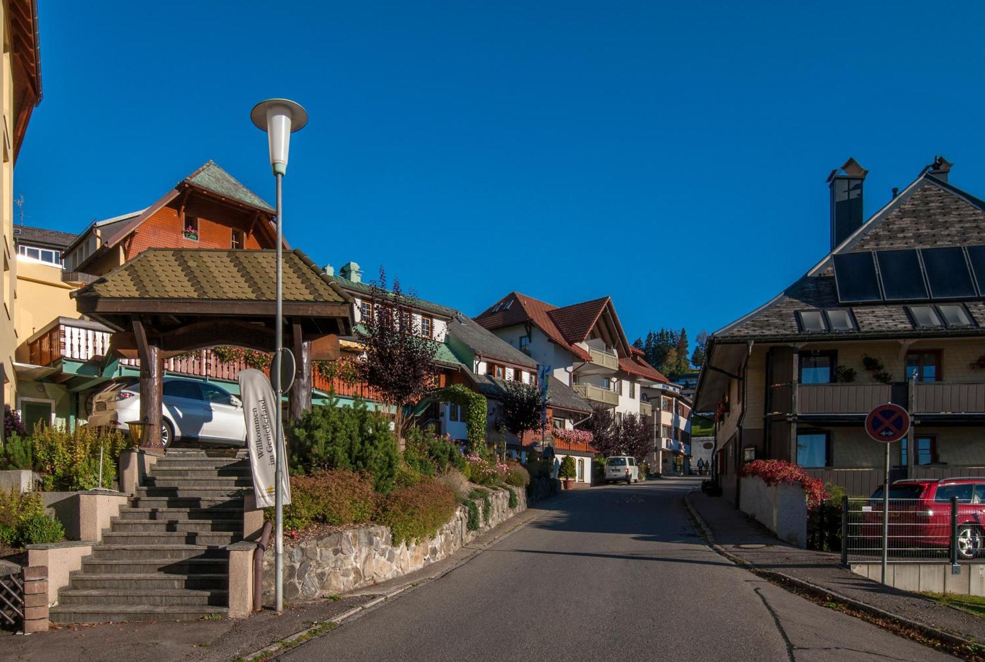 Apartment 13 - Ferienresidenz Roseneck, Mit Schwimmbad In Todtnauberg Bei Feldberg Екстериор снимка