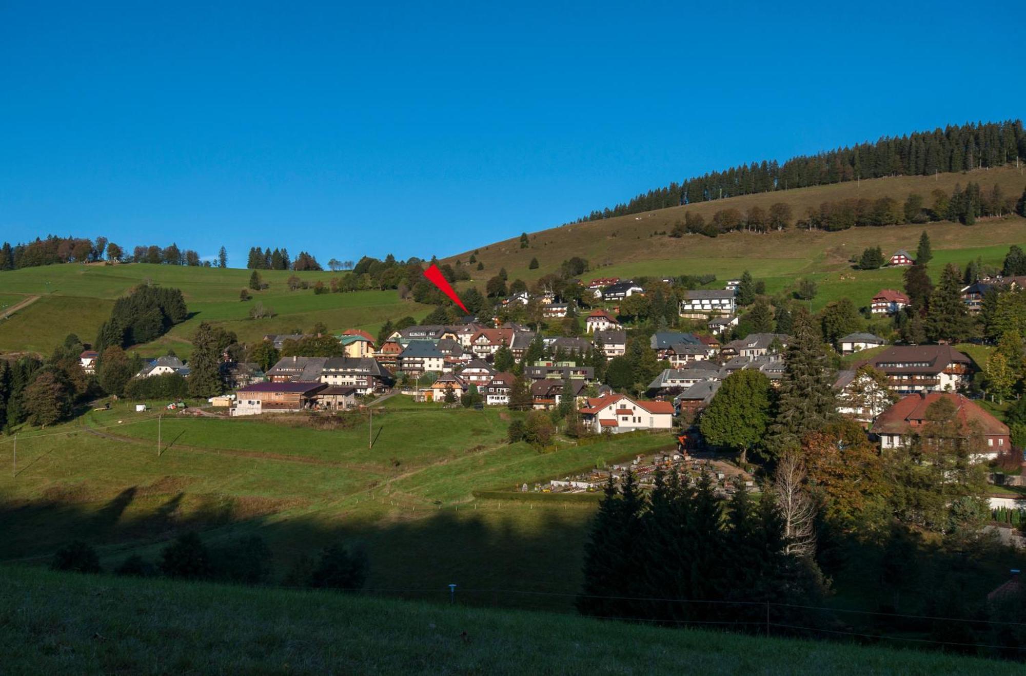 Apartment 13 - Ferienresidenz Roseneck, Mit Schwimmbad In Todtnauberg Bei Feldberg Екстериор снимка